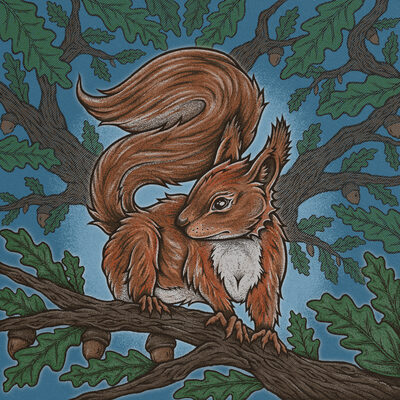 Rua, the red squirrel narrator.